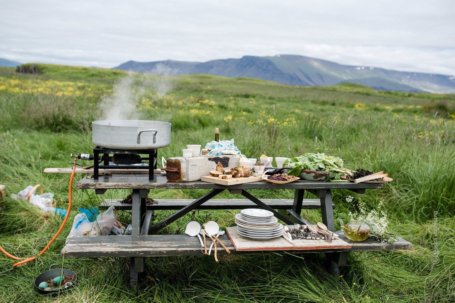 Nordic Food In Tourism
